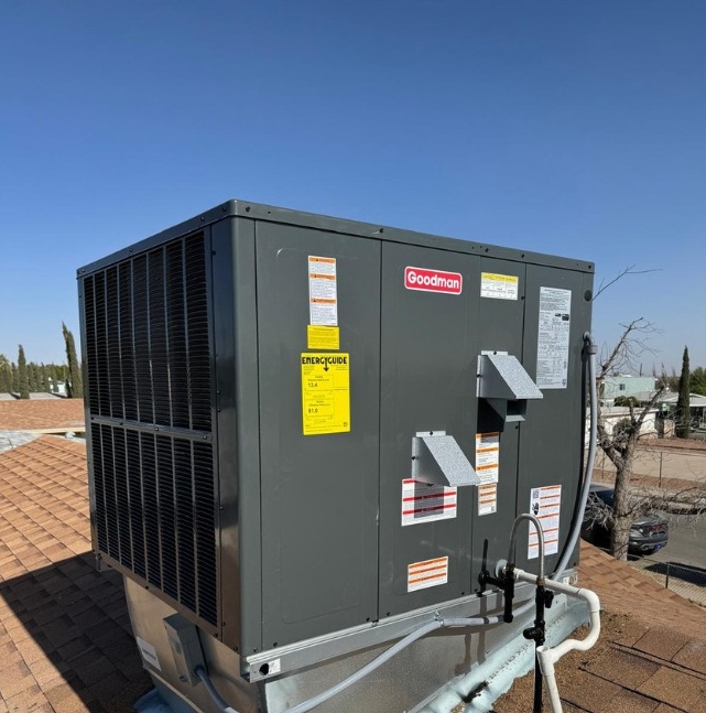 Professional HVAC technician